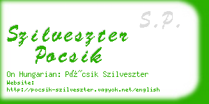 szilveszter pocsik business card